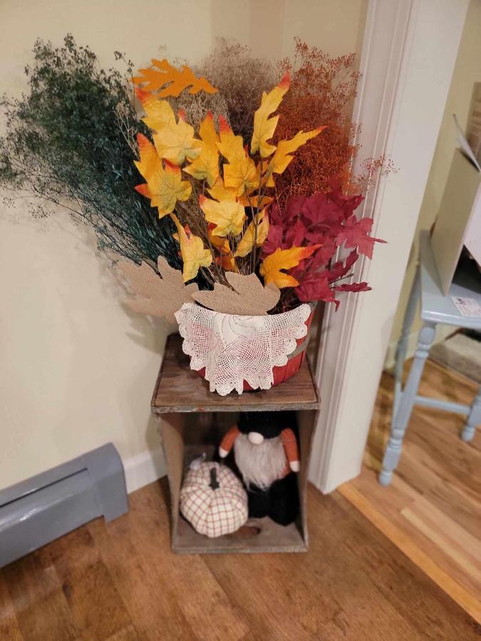 Moonlight Manor Bed & Breakfast Floyd 외부 사진