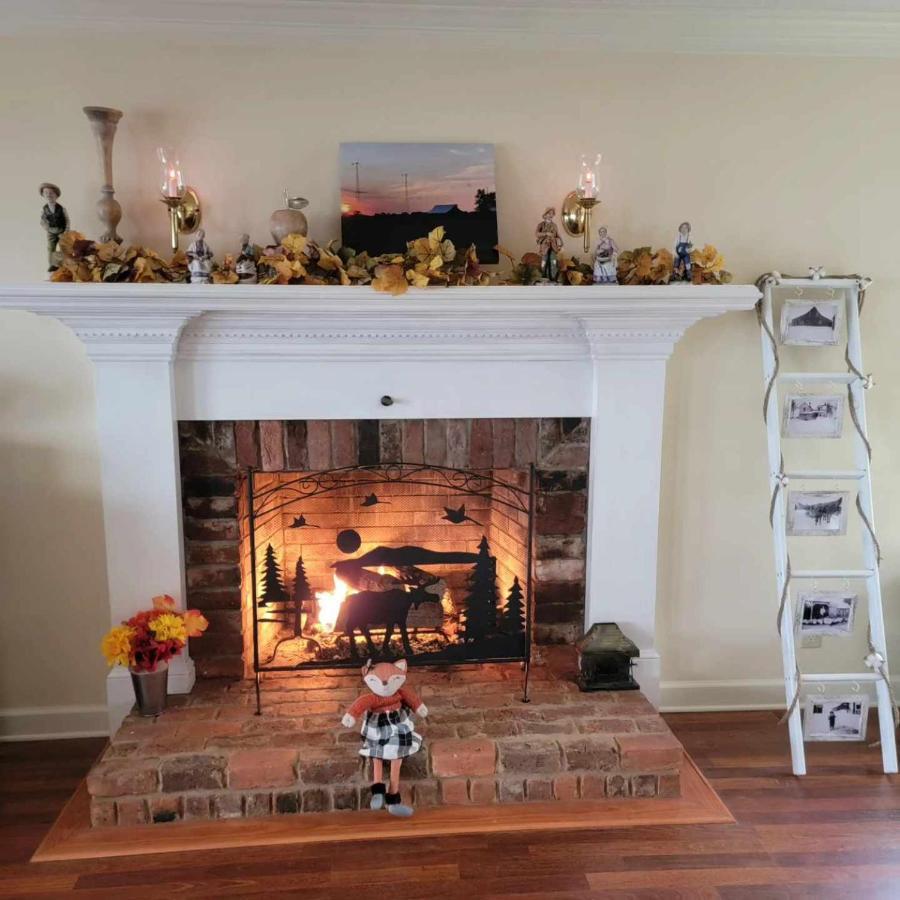 Moonlight Manor Bed & Breakfast Floyd 외부 사진